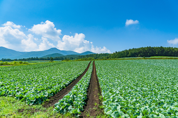 達人が教える民事信託（親愛信託）とは何？